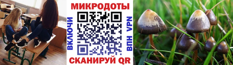 Псилоцибиновые грибы Psilocybine cubensis  купить  цена  Североморск 